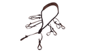 Drake’s Lanyard