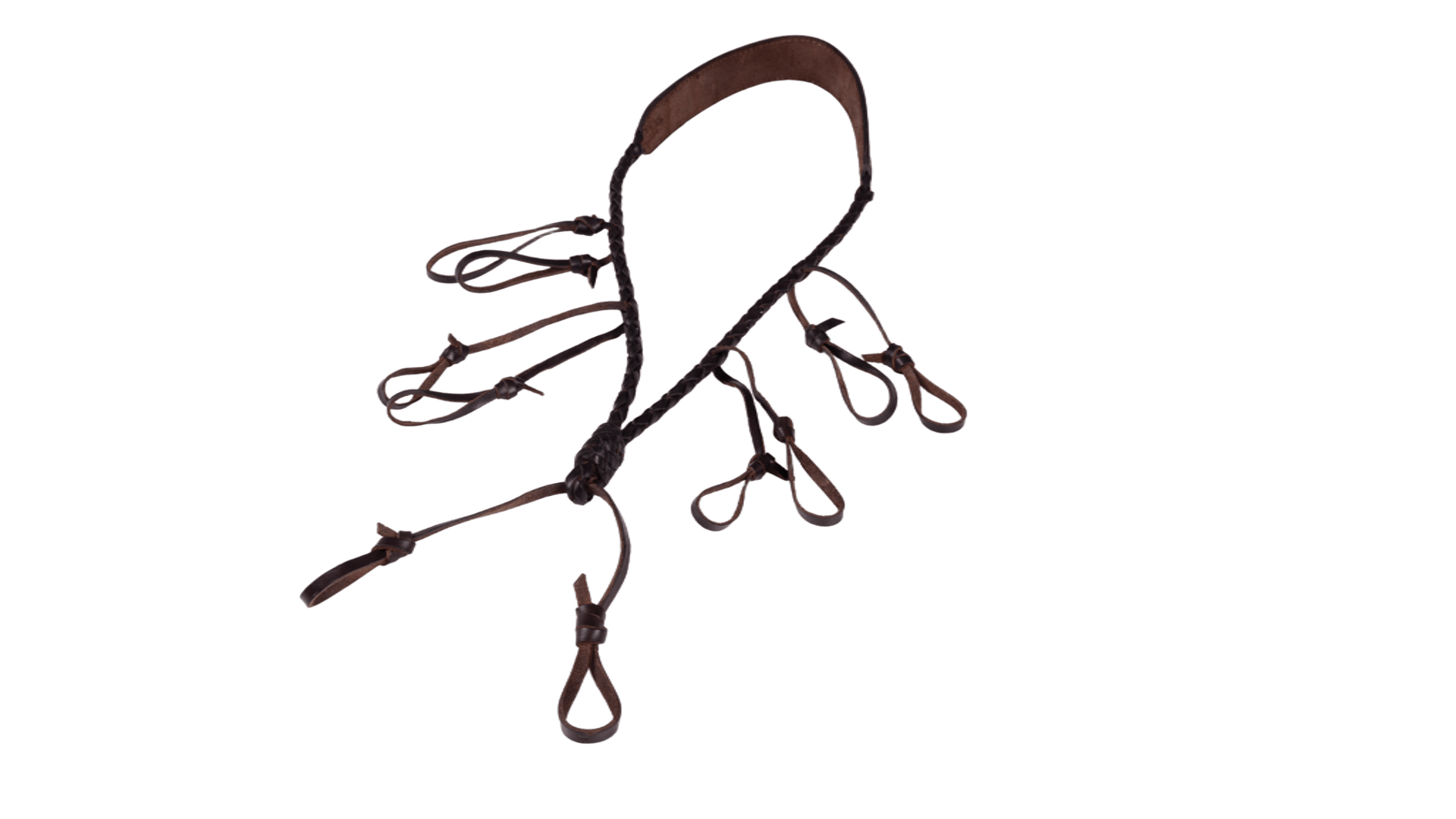 Drake’s Lanyard
